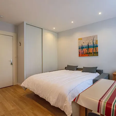 Appartamento Studio Renove Avec Parking Et Wi-fi, Centre Saint-jean-de-luz, Plage A Proximite - Fr-1-4-700